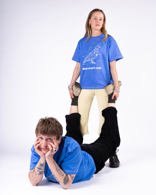 Birds Aren't Real - Light Blue Tee